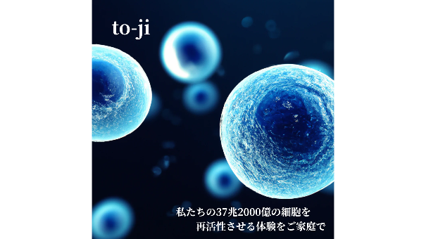 to-ji stone トウジストーン
