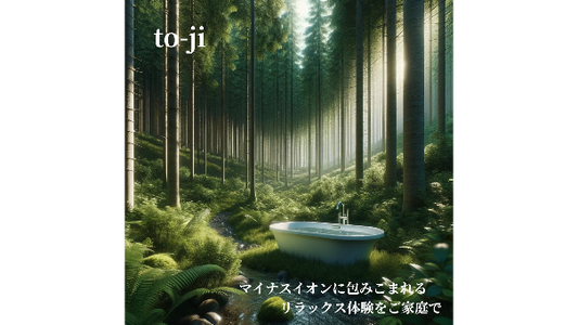 to-ji stone トウジストーン