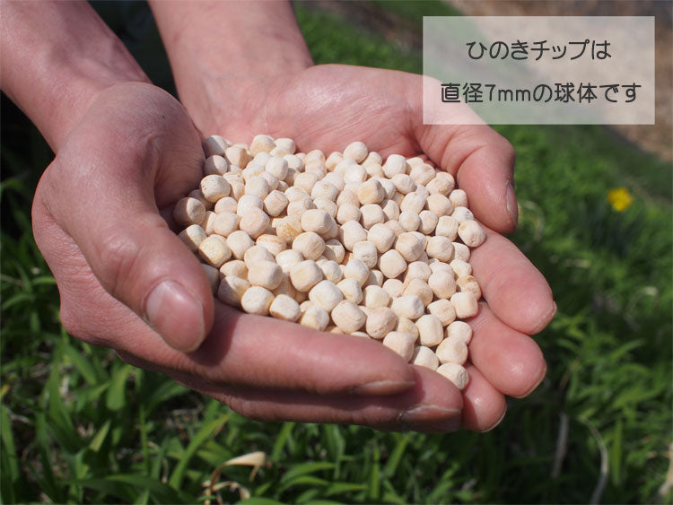 【岐阜】ひのきのまくら(専用枕カバー1枚、ひのきオイル1本セット)